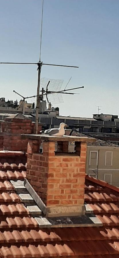 Apartament Le Petit Citron Mentona Zewnętrze zdjęcie